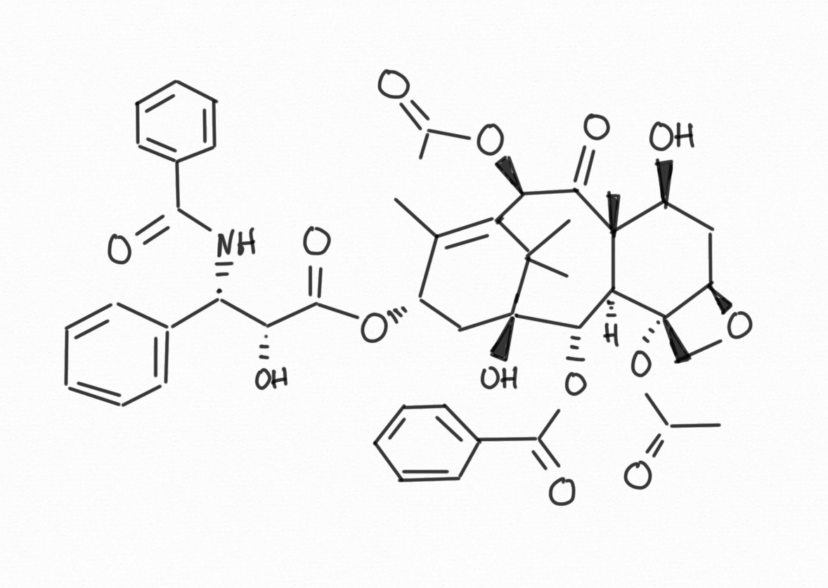 paclitaxel-onkologik